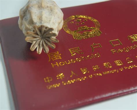 河南许昌市律师查被告户籍资料信息法律规定，一般需要多少钱💛巧艺网