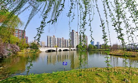 景观河的冬日美景，江苏省无锡市锡山区安镇街道。__财经头条