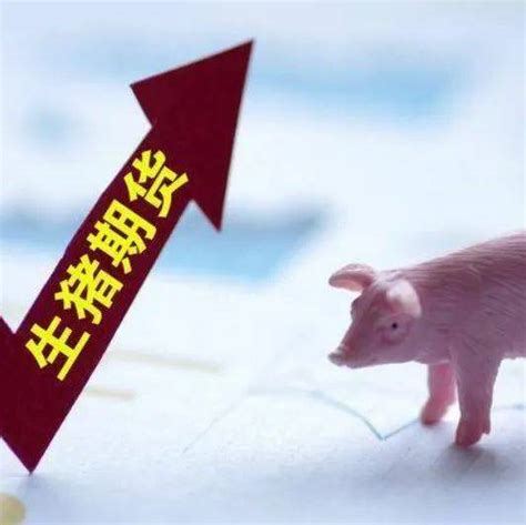 搜猪网生猪期货&现货日报-6.3报告|生猪期货【搜猪网_中国生猪预警网】