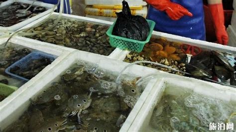 三亚第一市场海鲜店推荐,阿浪海鲜连锁加工|海鲜|海鲜店|三亚_新浪新闻