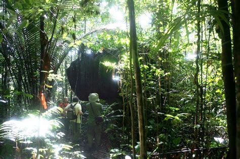 探险队在洪都拉斯雨林中发现拥有神秘文化并尚未被人类踏足的遗失之城 - 神秘的地球 科学|自然|地理|探索
