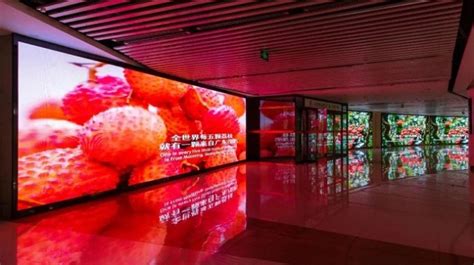 “茂名荔枝”宣传片登录北京西站，开启霸屏模式！_财富号_东方财富网