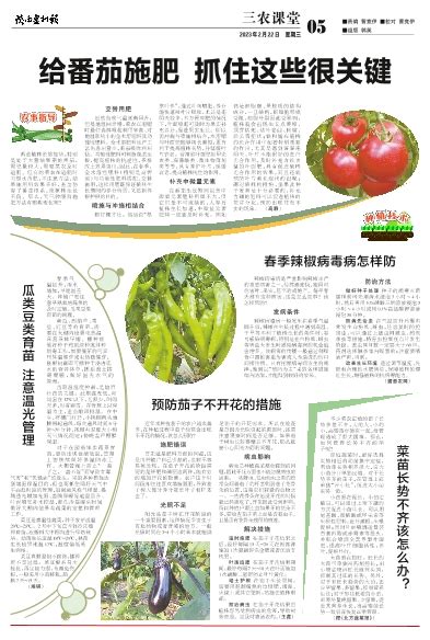 茄的意思,茄的解释,茄的拼音,茄的部首,茄的笔顺-汉语国学
