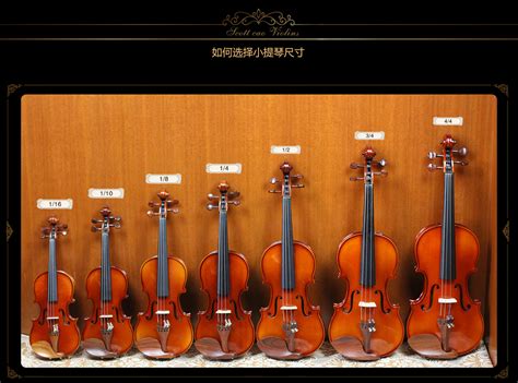 “大提琴协奏曲之夜”朱亦兵大提琴乐团与朋友们音乐会 订票|小剧场 演出门票-音乐会-国家大剧院