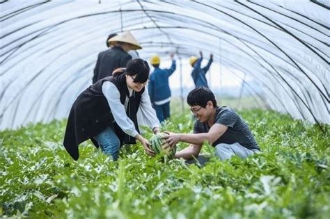 农机合作社成为引领保护性耕作技术应用的先锋队 | 农机新闻网