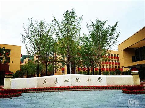 杭州市天长世纪小学学区房攻略-小学教育-杭州19楼