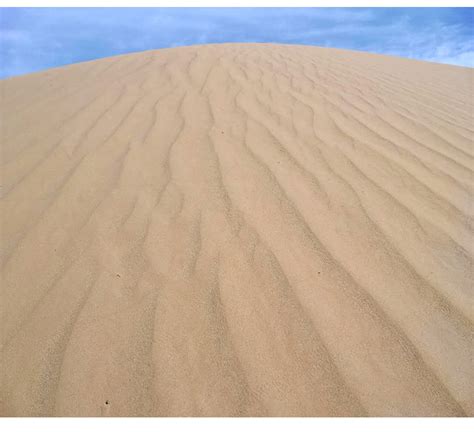 砂子和沙子的区别有哪些_精选问答_学堂_齐家网