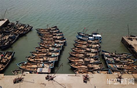 青岛市红岛码头：休渔期的渔船成排停放在码头内-半岛网