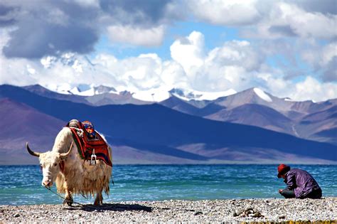 西藏：雪山冰川巍峨壮观_荔枝网新闻