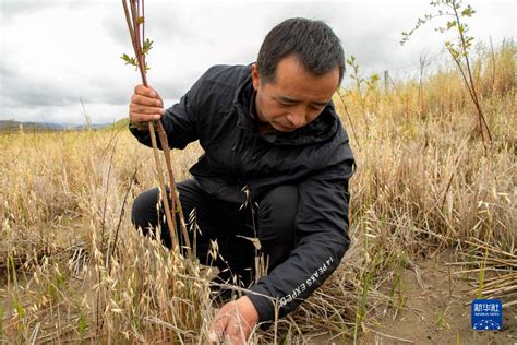 甘南州科技局能源研究所查看《玛曲退化沙化草地生态治理技术集成示范》项目进展情况-甘南藏族自治州科学技术局