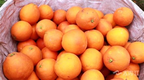 资中塔罗科血橙,蔬菜水果,食品餐饮,摄影素材,汇图网www.huitu.com
