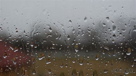 雨滴落的图片,有雨滴的花的图片,雨滴图片_大山谷图库
