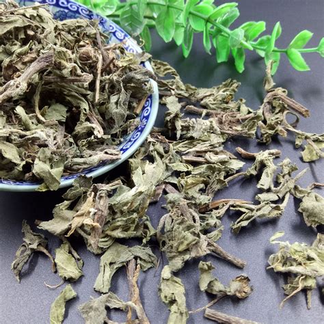 旱墨莲草药图片