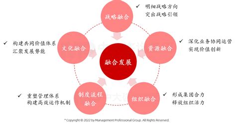 中国企业跨国经营和管理问题及其本土化策略,商务管理论文_学术堂