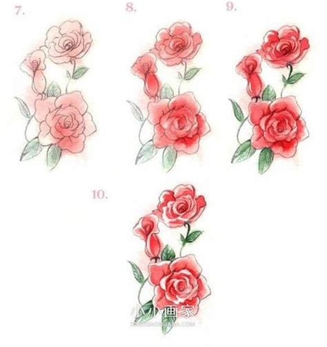玫瑰花生长过程简笔画自然笔记(玫瑰花生长过程图片简笔画) | 抖兔教育