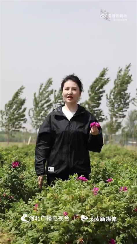 衡水8大推荐美食，这些衡水地方美食值得你的品尝|衡水湖|武强|衡水_新浪新闻