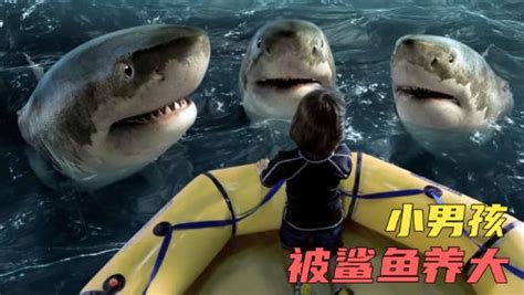 鲨鱼城市-电影-高清在线观看-百搜视频