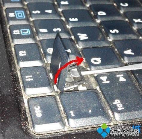 笔记本键盘怎么拆（笔记本键盘的安装教程） | 说明书网