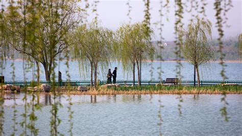 山东淄博文昌湖环湖公园规划设计 - 湿地与滨水景观 - 首家园林设计上市公司