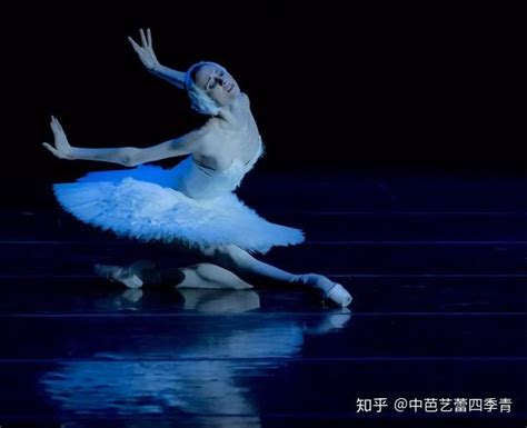 芭蕾人像曹舒慈 优美的白天鹅 - 舞蹈图片 - Powered by Chinadance.cn!