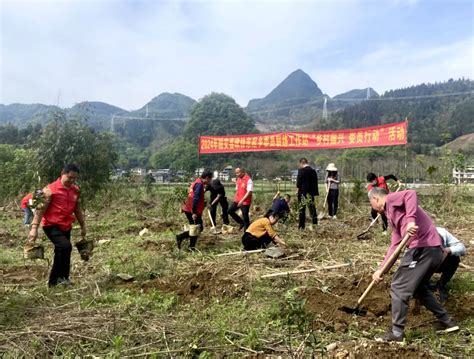 助力乡村振兴 融安县政协委员在行动 - 图片报道 - 广西柳州市融安县人民政府门户网站