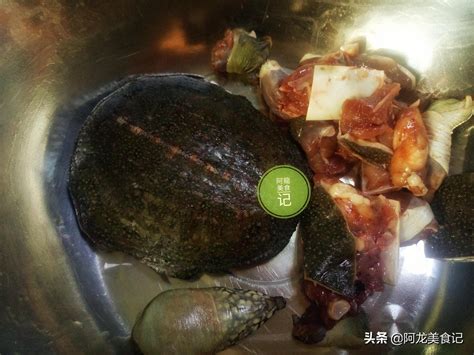 青椒炖甲鱼摄影图__传统美食_餐饮美食_摄影图库_昵图网nipic.com
