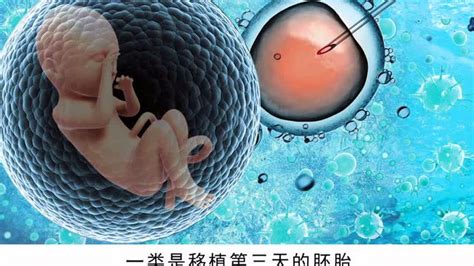 胚胎分割和胚胎干细胞培养_word文档在线阅读与下载_免费文档