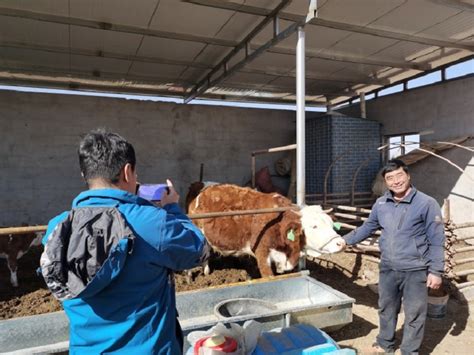罗城镇规模养殖场动物防疫监管显成效--高台县人民政府门户网站