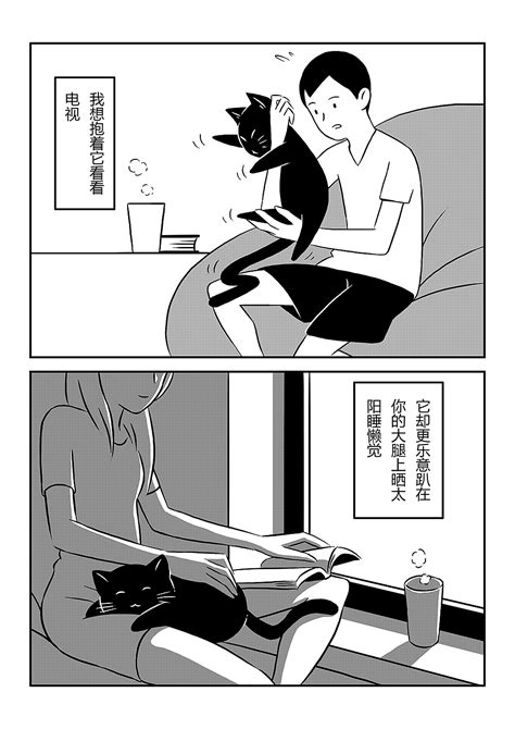 她和她的猫|插画|创作习作|黑猫pop - 原创作品 - 站酷 (ZCOOL)