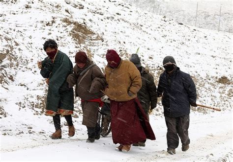 甘南印象：藏民为何不怕冷呢？,甘南自助游攻略 - 马蜂窝