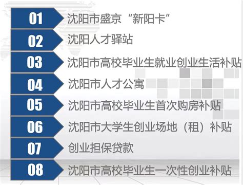 2023年沈阳市“智汇兴沈”系列引才活动政策-就业信息网