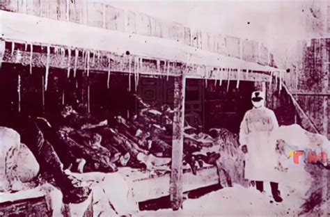 731部队做了哪些可怕的实验？真实图片触目惊心！_9万个为什么
