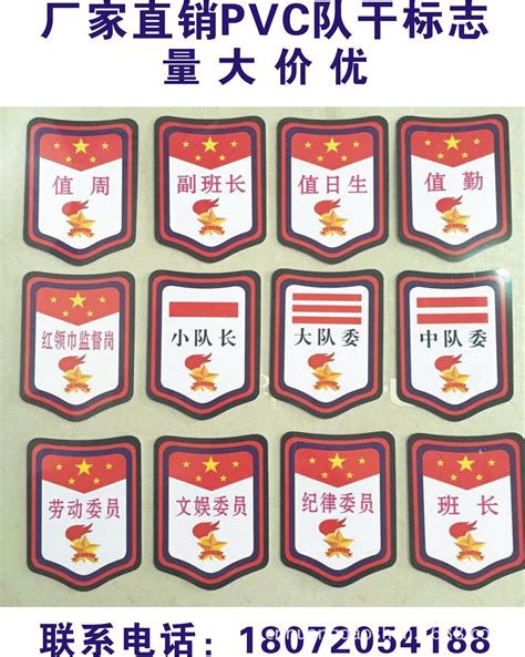 《中国少年先锋队红领巾、队旗、队徽、队委（队长）标志和队歌使用管理规定》_活动_少先队员_组织