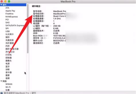 Mac如何查询电脑设备型号-Mac查询电脑设备型号的方法_华军软件园