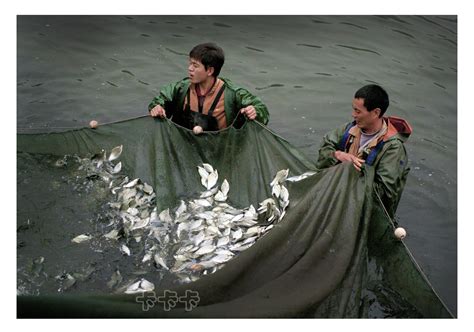 古代渔民如何捕鱼？老一辈们靠着一本书穿梭在南海_凤凰网视频_凤凰网