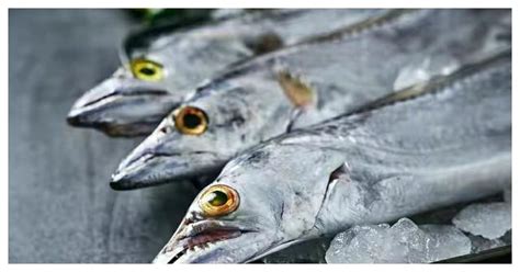 山东文登水产市场在售新鲜海鱼均来自荣成 - 海洋财富网