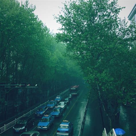 北京雨水淅淅沥沥 气温下降迎夏日清凉-图片频道