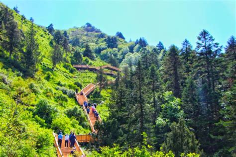 甘南卓尼深山里的仙境 大峪沟的秋韵_凤凰网旅游