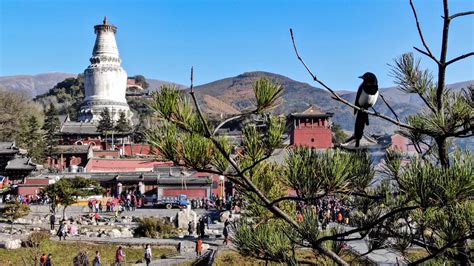 山西忻州十大旅游景点，忻州哪里有好玩的地方