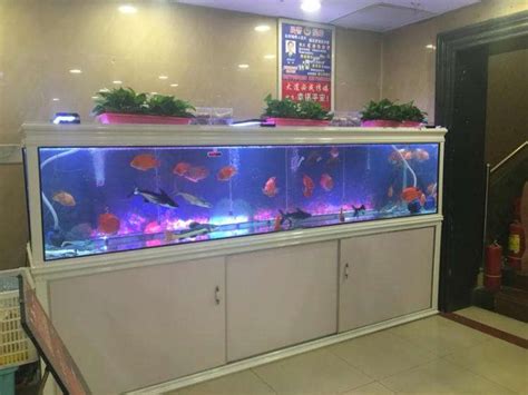 三门峡卖鱼缸的地方在哪儿啊电话 （三门峡卖鱼缸的地方在哪儿啊电话号码） - 潜水艇鱼 - 广州观赏鱼批发市场