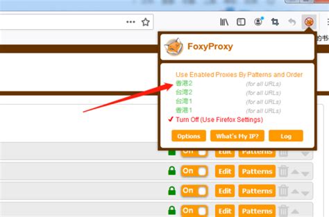 火狐浏览器怎么访问外网-火狐浏览器一键进入外国网站操作指南-浏览器之家