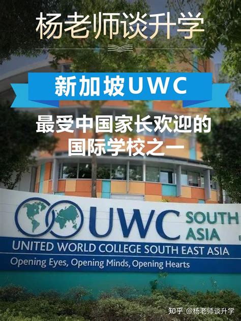 UWCSEA Internship in Singapore