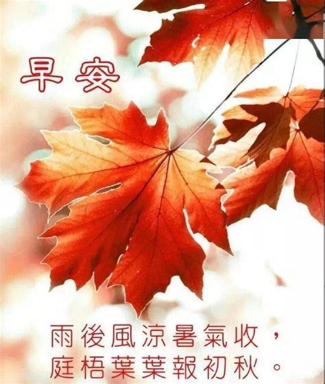 秋天微信早上好说说 漂亮的枫叶早安图片带字带祝福语-搜狐大视野-搜狐新闻