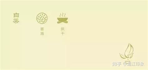 中国茶文化基础知识_word文档在线阅读与下载_文档网