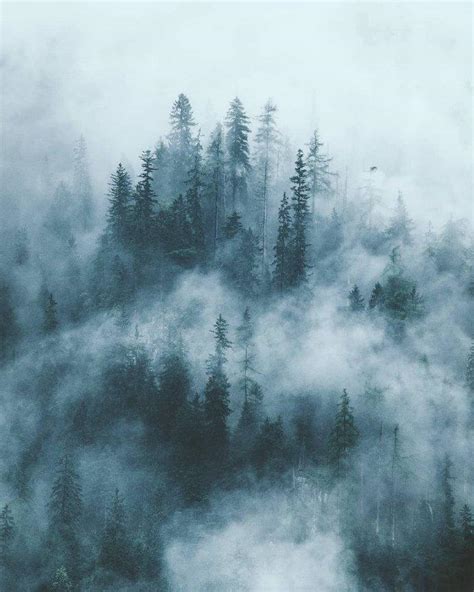日本的迷雾森林方式高清图片下载-正版图片320797242-摄图网