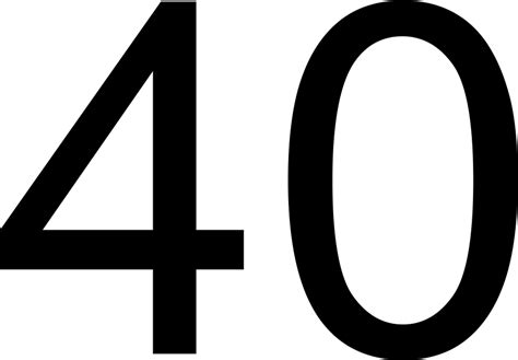 The Significance of the Number 40
