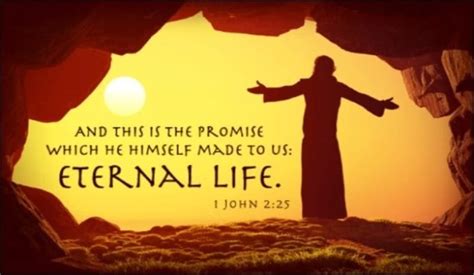 What Does the Bible Say About Eternal Life?