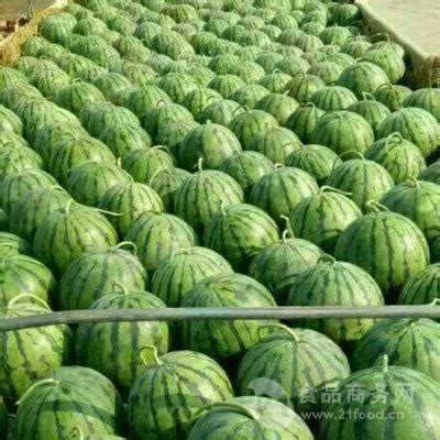 今日邯郸市西瓜市场销售价格 西瓜格 山东临沂 乐群水果基地-食品商务网