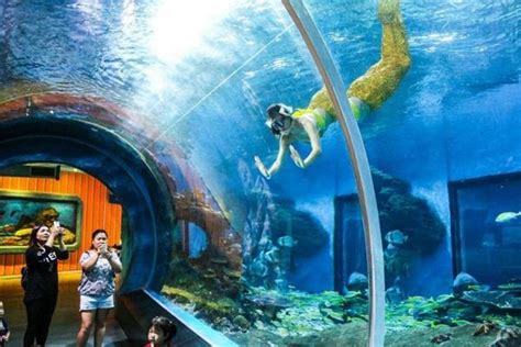 武汉东湖海洋世界恢复开放--湖北省文化和旅游厅