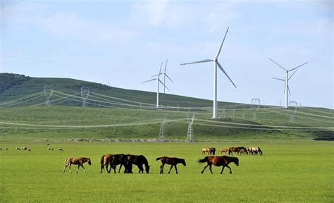 锡林浩特市泰富能源1000MW风电项目167台风机基础全部浇筑完成_新力能源开发有限公司|中信泰富能源|新力能源|传统能源|新能源|生态保护和 ...